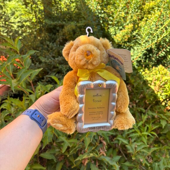 Hallmark Birthstone Bear Picture Frame November Topaz Plush Teddy Birthday Gift - Picture 1 of 6